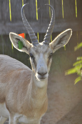 Similar image 22237345