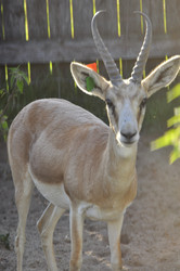 Similar image 22237346