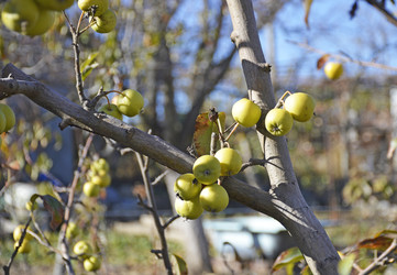 Similar image 22244864