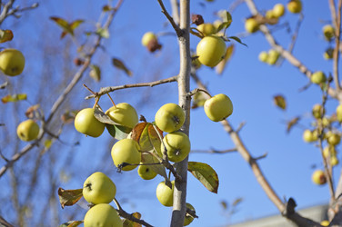 Similar image 22244865