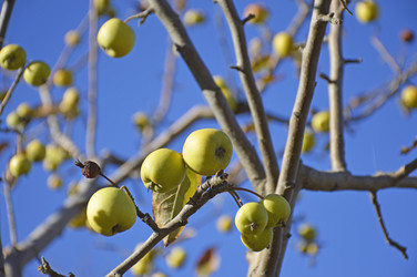 Similar image 22244866