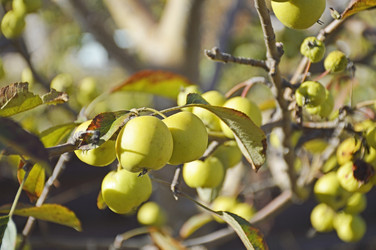 Similar image 22244867