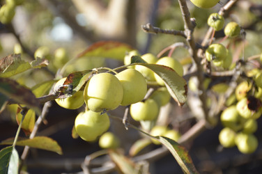 Similar image 22244868