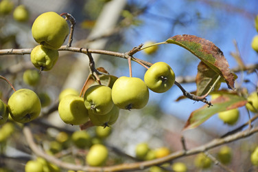 Similar image 22244869