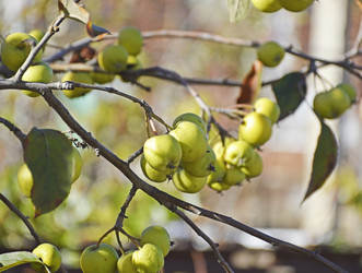 Similar image 22244870