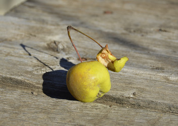 Similar image 22244872