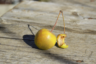 Similar image 22244873