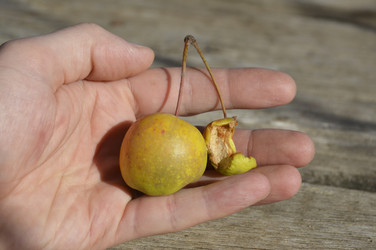 Similar image 22244874