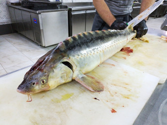 Similar image 22244688