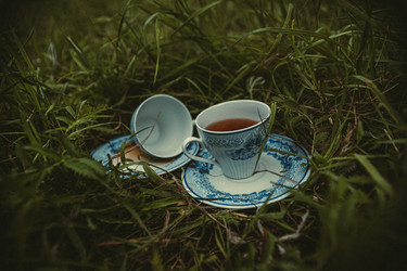 Similar image 22237362