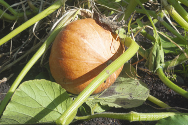 Similar image 22237430