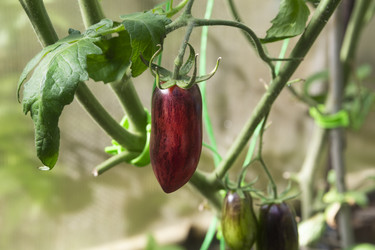 Similar image 22237431