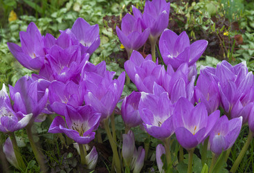 Similar image 22237432