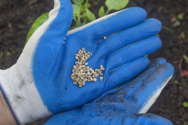 Similar image 22237433