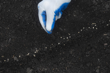 Similar image 22237434