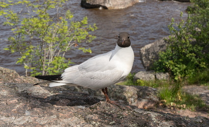 Similar image 22243477