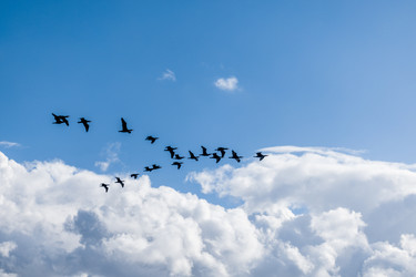 Similar image 22243159