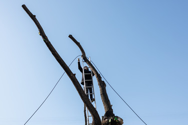 Similar image 22237352