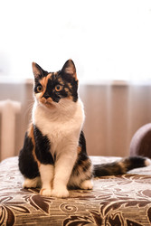 Similar image 22244135