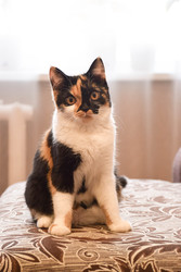 Similar image 22244136