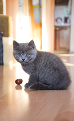 Similar image 22244137