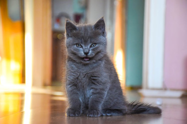 Similar image 22244138