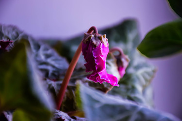 Similar image 22244179