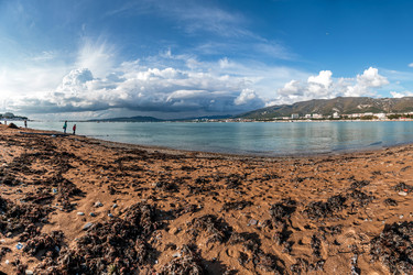 Similar image 22239949