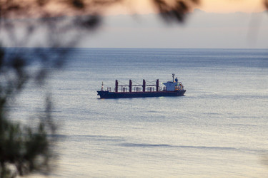 Similar image 22239951