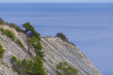 Similar image 22243163