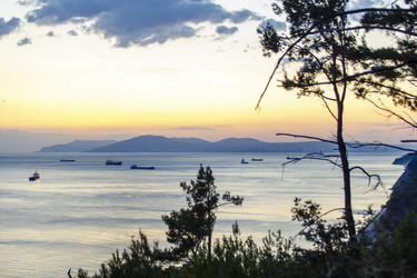 Similar image 22239952