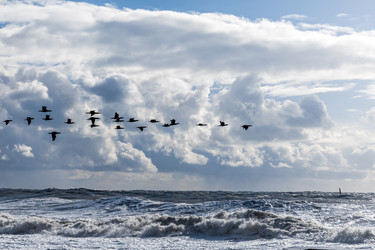 Similar image 22241781