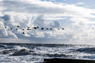 Similar image 22241782