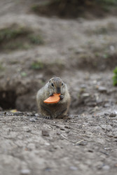 Similar image 22243478