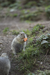 Similar image 22243479