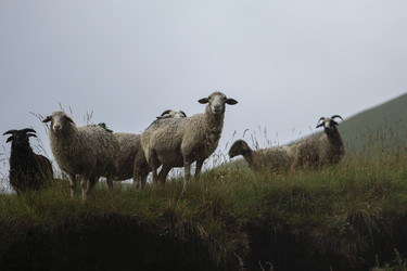 Similar image 22243480