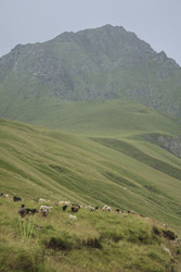 Similar image 22243481