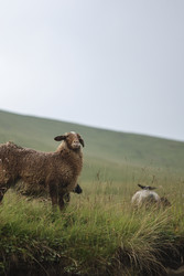 Similar image 22243483