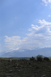 Similar image 22243487