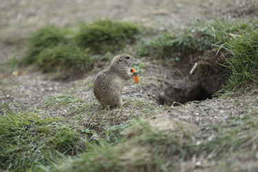 Similar image 22243490