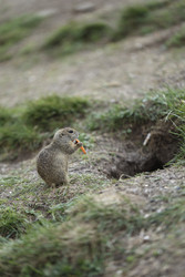 Similar image 22243491