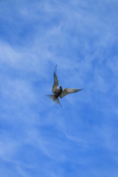 Similar image 22245105