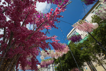 Similar image 22239963