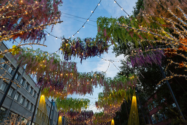 Similar image 22239964