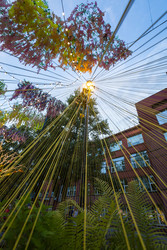 Similar image 22239965