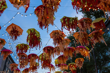 Similar image 22239967