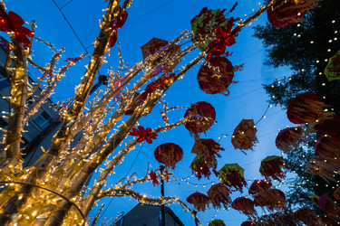 Similar image 22239968