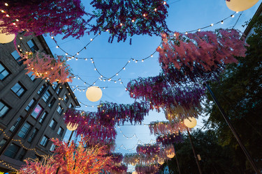 Similar image 22239969