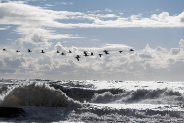 Similar image 22241784