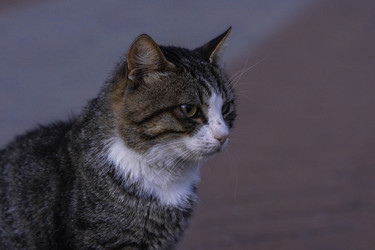 Similar image 22241794